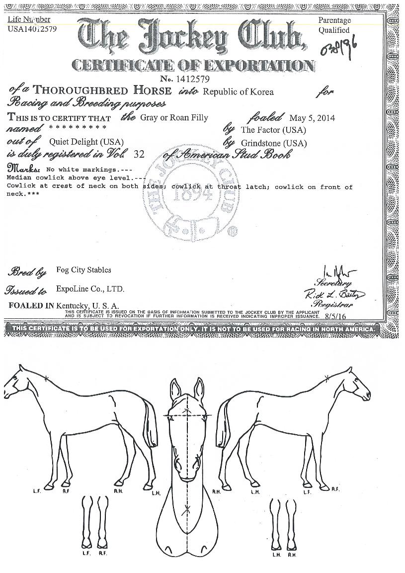 ¿µ±¤½Â¸®ÀÇ Ãø¸é,¿ì¸é,µÞ¸é,µÎ»ó,´Ù¸®ÀÇ Æ¯Â¡µµÇØ