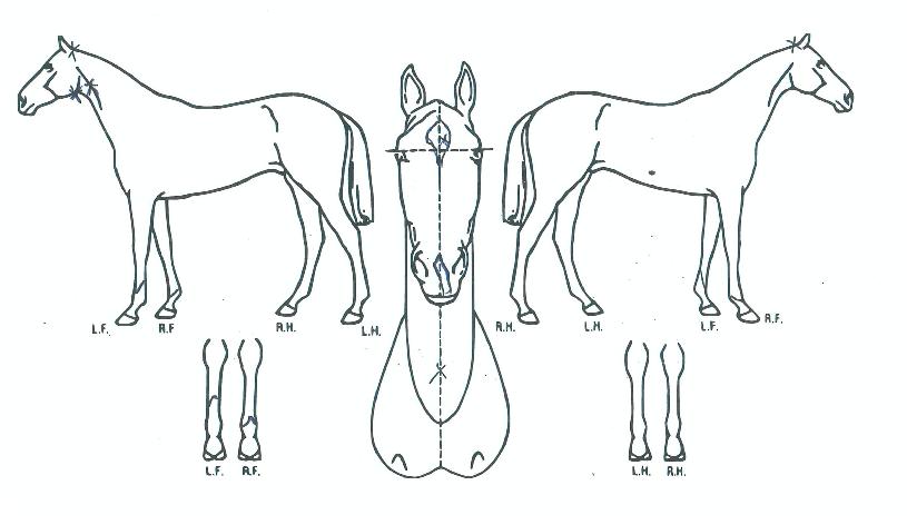 ������Ÿ�� ����,���,�޸�,�λ�,�ٸ��� Ư¡����