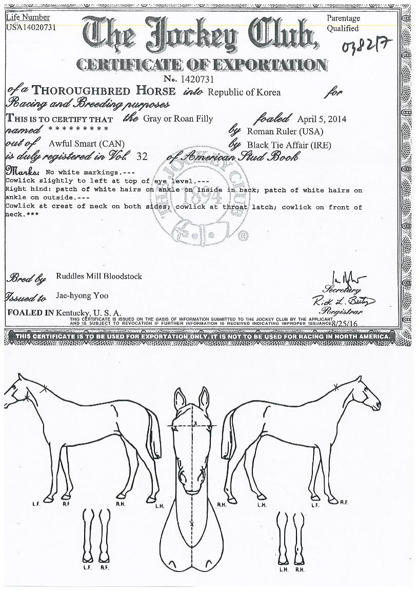 ¿©¿ÕÀÇź»ýÀÇ Ãø¸é,¿ì¸é,µÞ¸é,µÎ»ó,´Ù¸®ÀÇ Æ¯Â¡µµÇØ