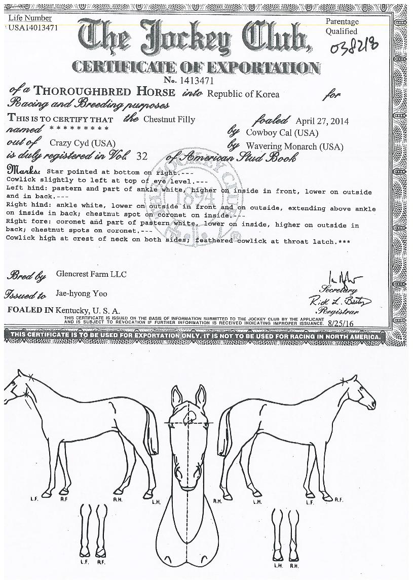 ���ȯȣ�� ����,���,�޸�,�λ�,�ٸ��� Ư¡����