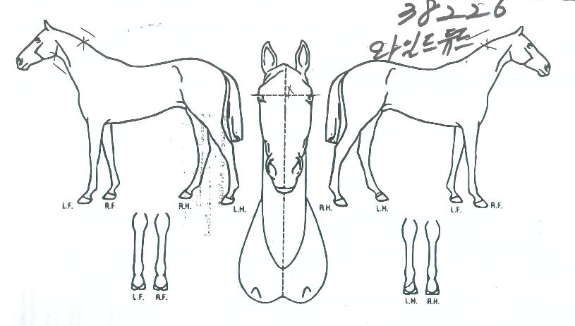 ���ϵ����� ����,���,�޸�,�λ�,�ٸ��� Ư¡����