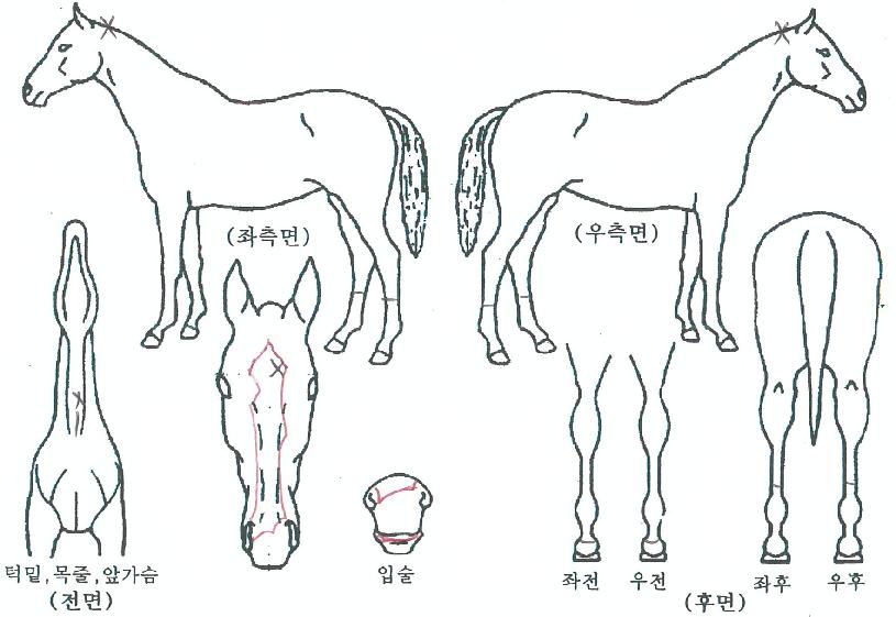 ���̸ӽ���ũ�� ����,���,�޸�,�λ�,�ٸ��� Ư¡����