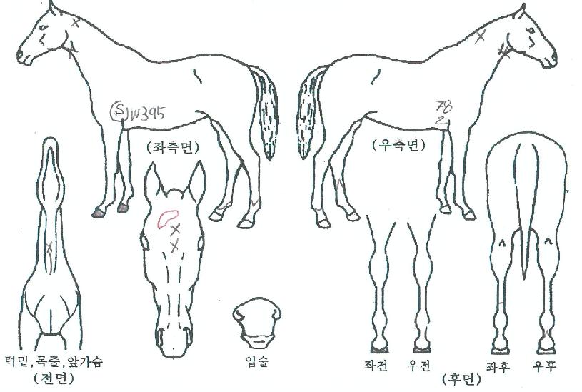 ����Ʈ���� ����,���,�޸�,�λ�,�ٸ��� Ư¡����