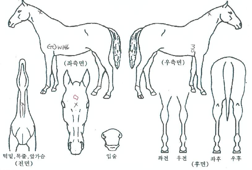 ������������� ����,���,�޸�,�λ�,�ٸ��� Ư¡����