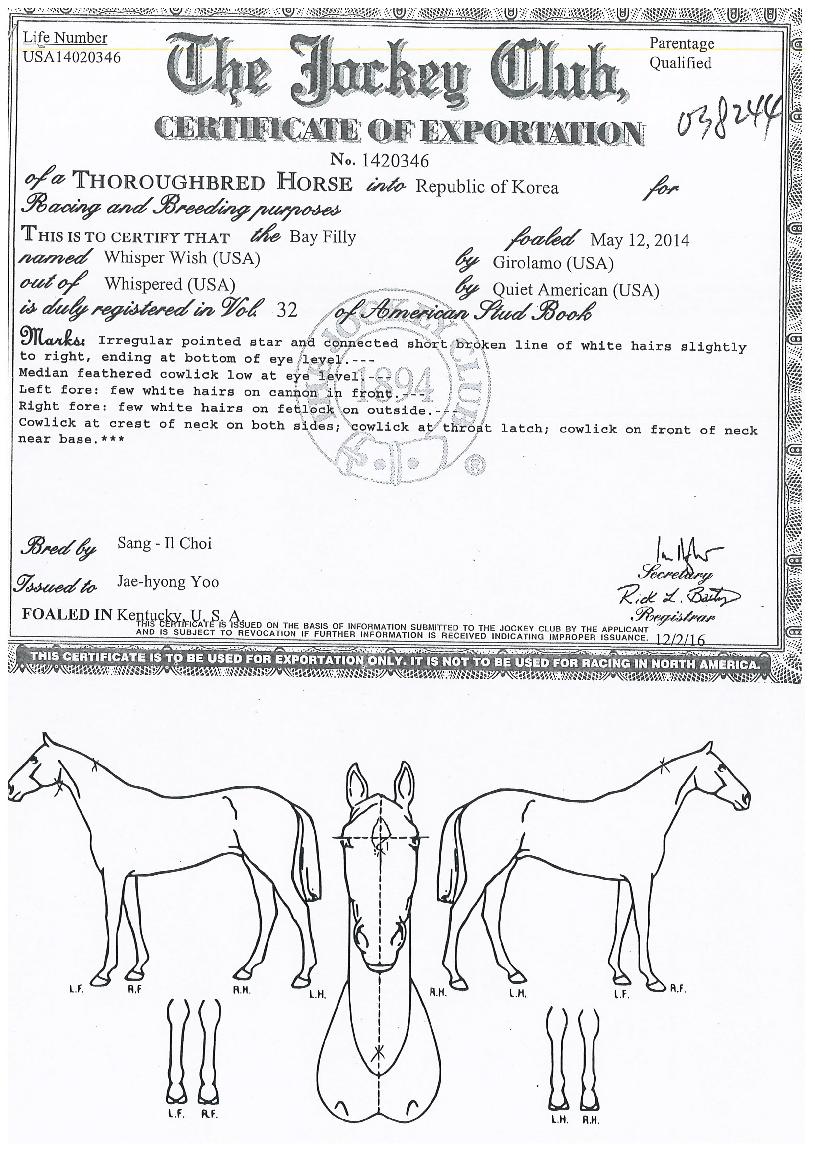 ������������ ����,���,�޸�,�λ�,�ٸ��� Ư¡����