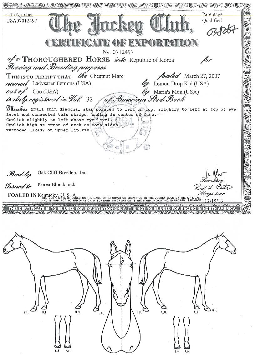 ���̵����Ʈ������ ����,���,�޸�,�λ�,�ٸ��� Ư¡����