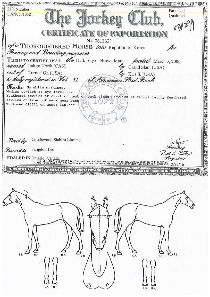 Àεð°í³ë½ºÀÇ Ãø¸é,¿ì¸é,µÞ¸é,µÎ»ó,´Ù¸®ÀÇ Æ¯Â¡µµÇØ