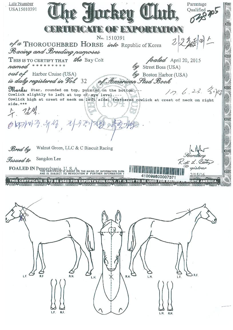 �����Ƽ��� ����,���,�޸�,�λ�,�ٸ��� Ư¡����