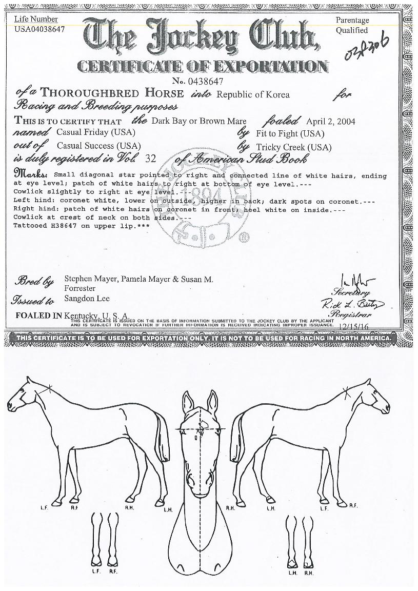 ijÁê¾óÇÁ¶óÀ̵¥ÀÌÀÇ Ãø¸é,¿ì¸é,µÞ¸é,µÎ»ó,´Ù¸®ÀÇ Æ¯Â¡µµÇØ