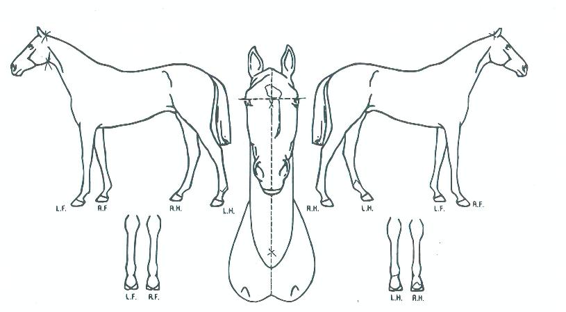 ŷ���꿡�̽��� ����,���,�޸�,�λ�,�ٸ��� Ư¡����