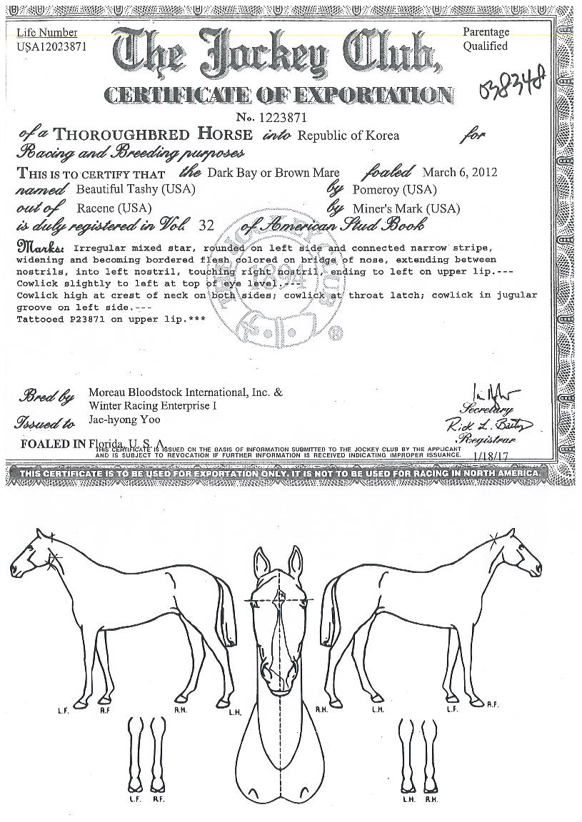 ��ƼǮ�½��� ����,���,�޸�,�λ�,�ٸ��� Ư¡����