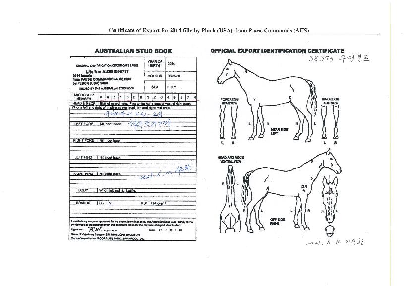 ¿ì¸Õº¼Æ®ÀÇ Ãø¸é,¿ì¸é,µÞ¸é,µÎ»ó,´Ù¸®ÀÇ Æ¯Â¡µµÇØ
