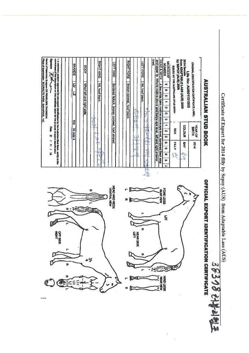 ·¯ºí¸®ÅÛÆ÷ÀÇ Ãø¸é,¿ì¸é,µÞ¸é,µÎ»ó,´Ù¸®ÀÇ Æ¯Â¡µµÇØ