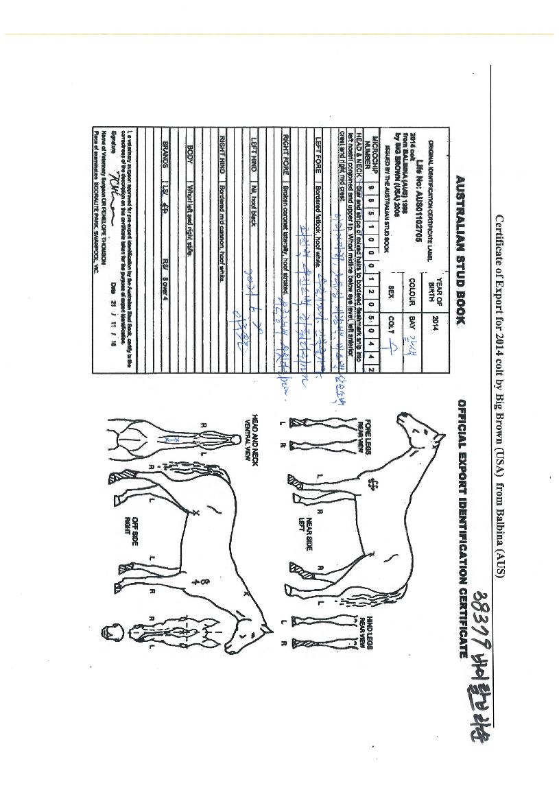 ����Ż������ ����,���,�޸�,�λ�,�ٸ��� Ư¡����