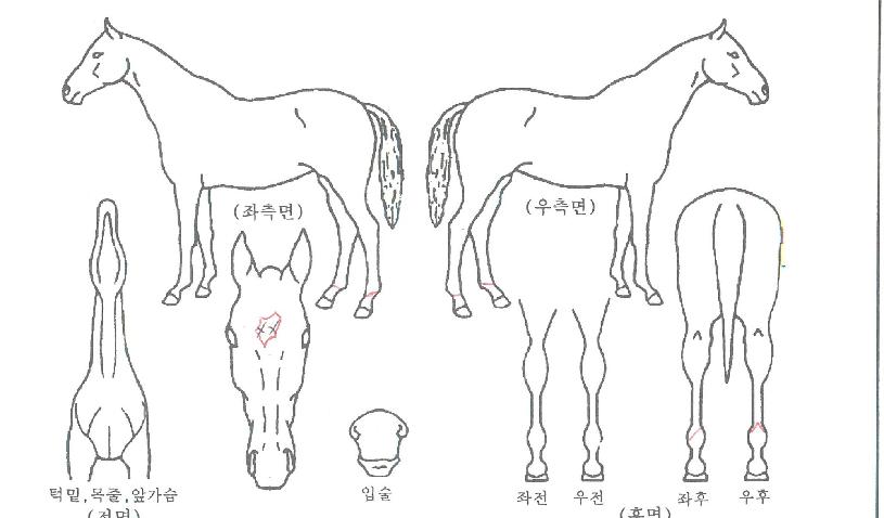 ��ʸ��������� ����,���,�޸�,�λ�,�ٸ��� Ư¡����