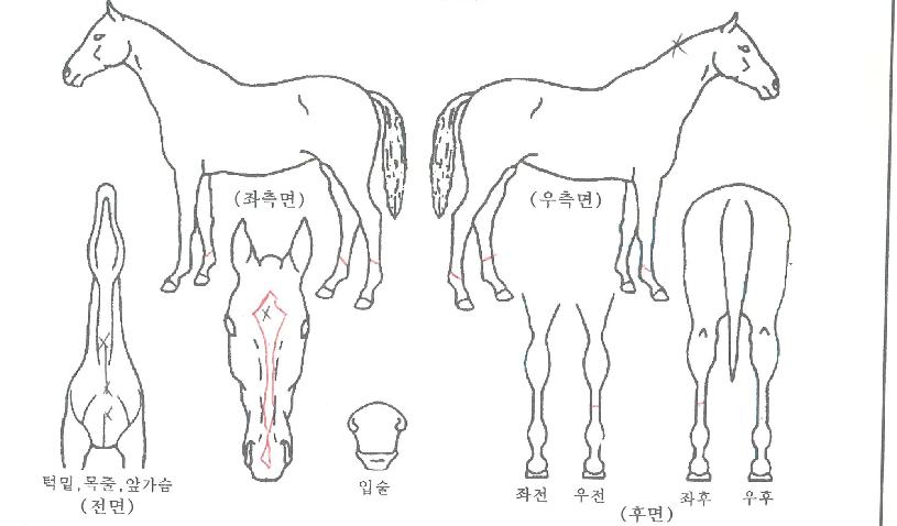 ������Ʈ������ ����,���,�޸�,�λ�,�ٸ��� Ư¡����