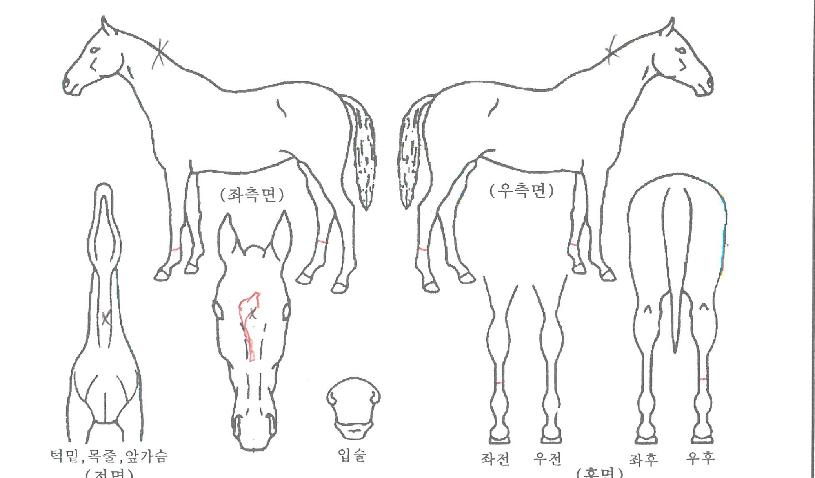 ���������� ����,���,�޸�,�λ�,�ٸ��� Ư¡����