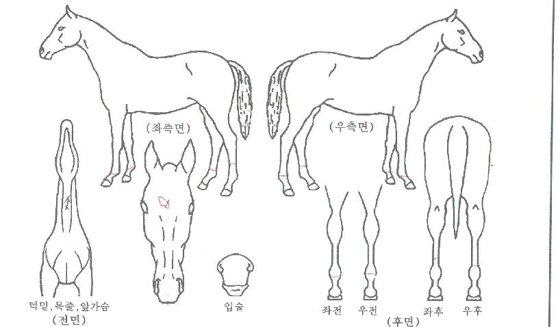 �����ν��� ����,���,�޸�,�λ�,�ٸ��� Ư¡����