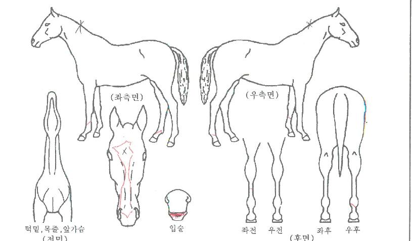 �������÷��� ����,���,�޸�,�λ�,�ٸ��� Ư¡����