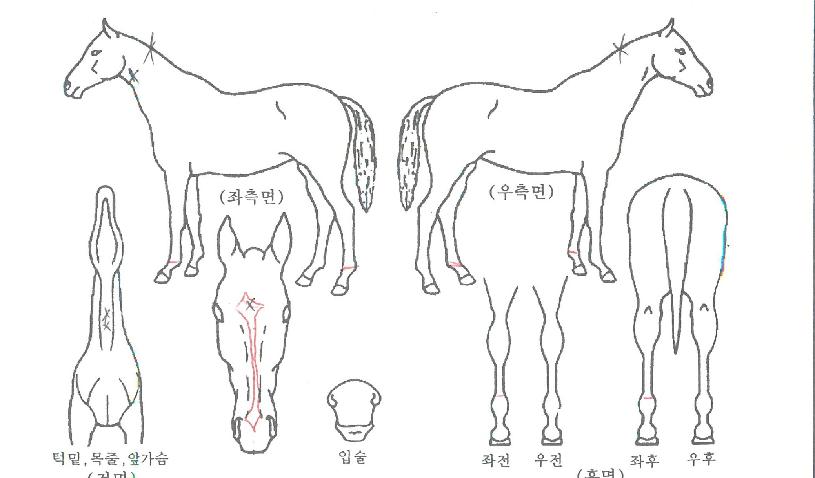 ��������� ����,���,�޸�,�λ�,�ٸ��� Ư¡����