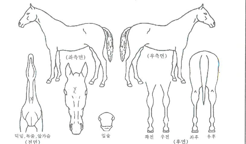 �̽���ķ���� ����,���,�޸�,�λ�,�ٸ��� Ư¡����