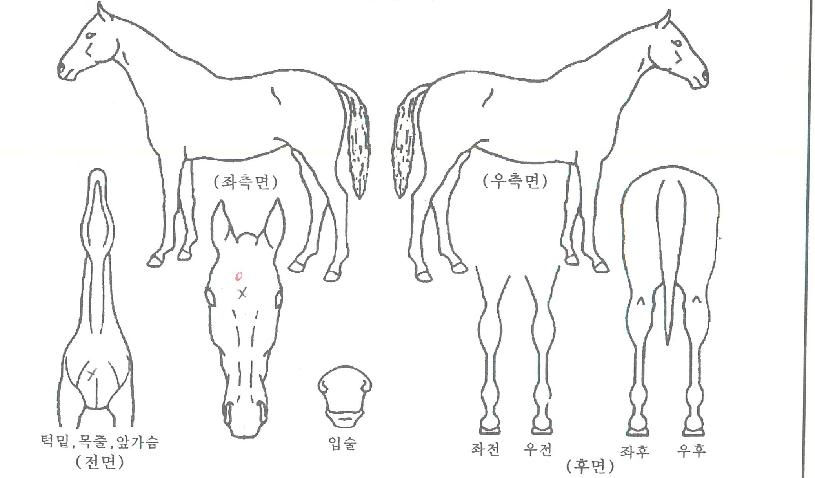 ž������ ����,���,�޸�,�λ�,�ٸ��� Ư¡����