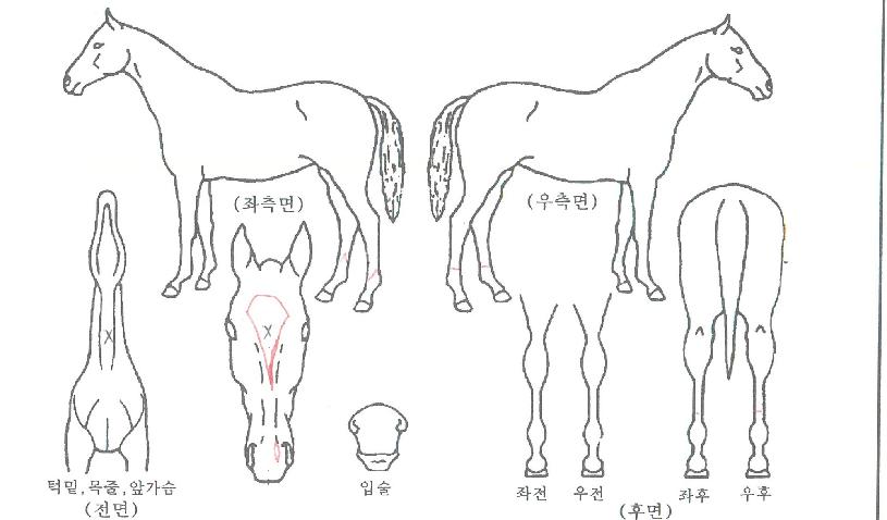 �����ھ��� ����,���,�޸�,�λ�,�ٸ��� Ư¡����