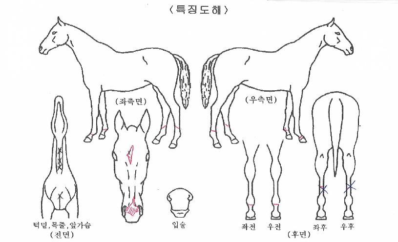 ������������� ����,���,�޸�,�λ�,�ٸ��� Ư¡����