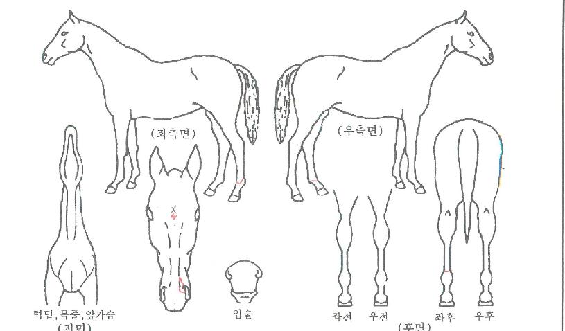 �ö��״����� ����,���,�޸�,�λ�,�ٸ��� Ư¡����