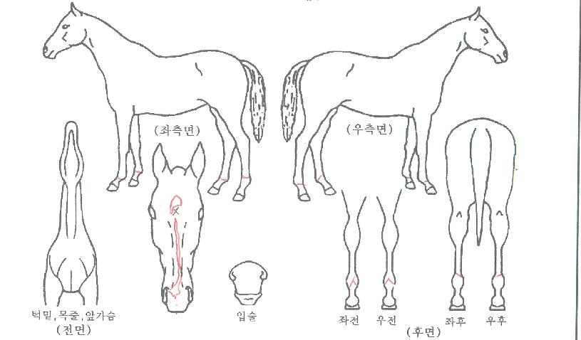 �Ҽ�Ŀ������ ����,���,�޸�,�λ�,�ٸ��� Ư¡����