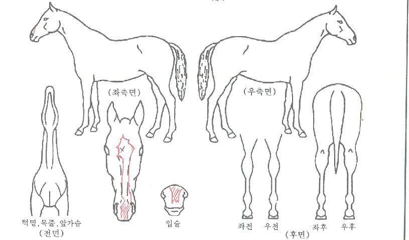 �������� ����,���,�޸�,�λ�,�ٸ��� Ư¡����