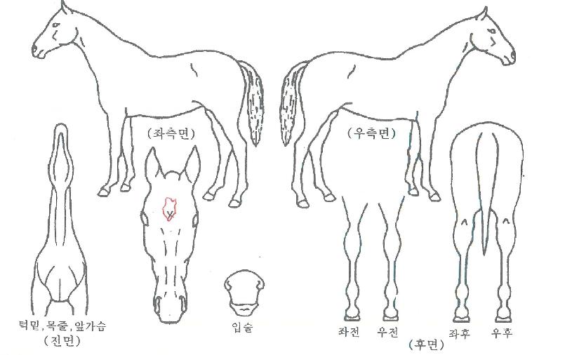 Ʈ���̼����� ����,���,�޸�,�λ�,�ٸ��� Ư¡����