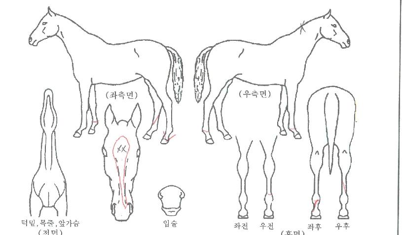 ���������� ����,���,�޸�,�λ�,�ٸ��� Ư¡����