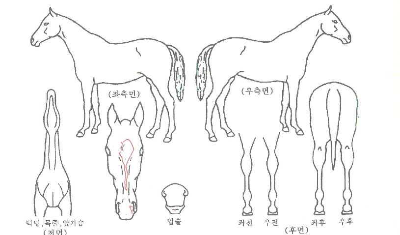 ���丮ŷ�� ����,���,�޸�,�λ�,�ٸ��� Ư¡����