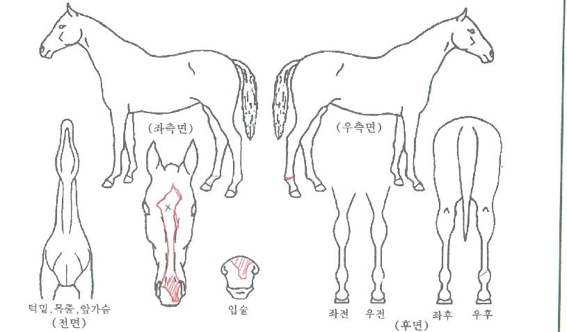 Ƽ������� ����,���,�޸�,�λ�,�ٸ��� Ư¡����