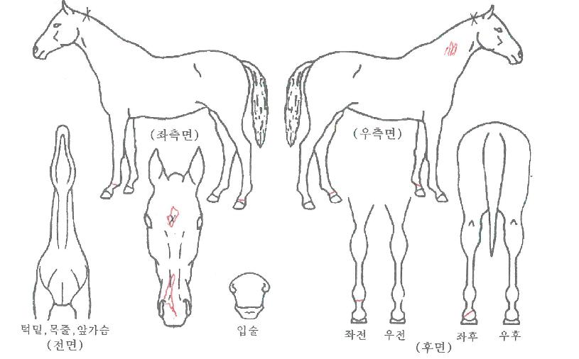 �����̰����� ����,���,�޸�,�λ�,�ٸ��� Ư¡����