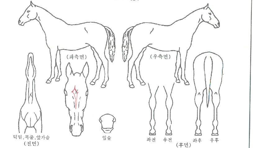 Ǯö ,,޸,λ,ٸ Ư¡