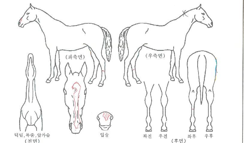 ������� ����,���,�޸�,�λ�,�ٸ��� Ư¡����