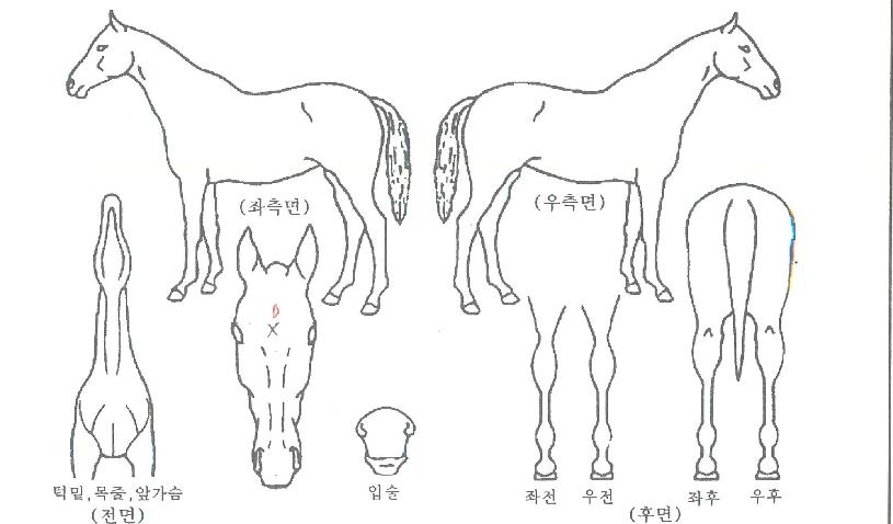 ��Ű������ ����,���,�޸�,�λ�,�ٸ��� Ư¡����