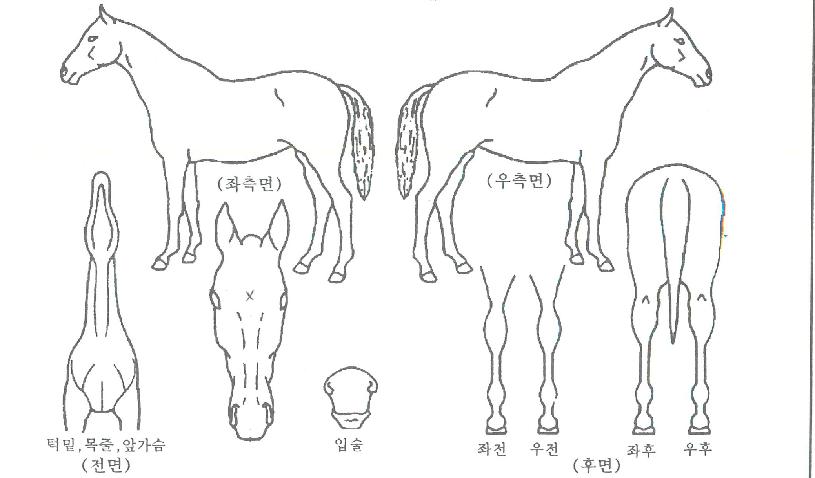 ���̺񿡽����� ����,���,�޸�,�λ�,�ٸ��� Ư¡����