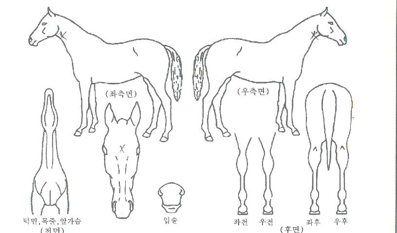 ���͵������� ����,���,�޸�,�λ�,�ٸ��� Ư¡����