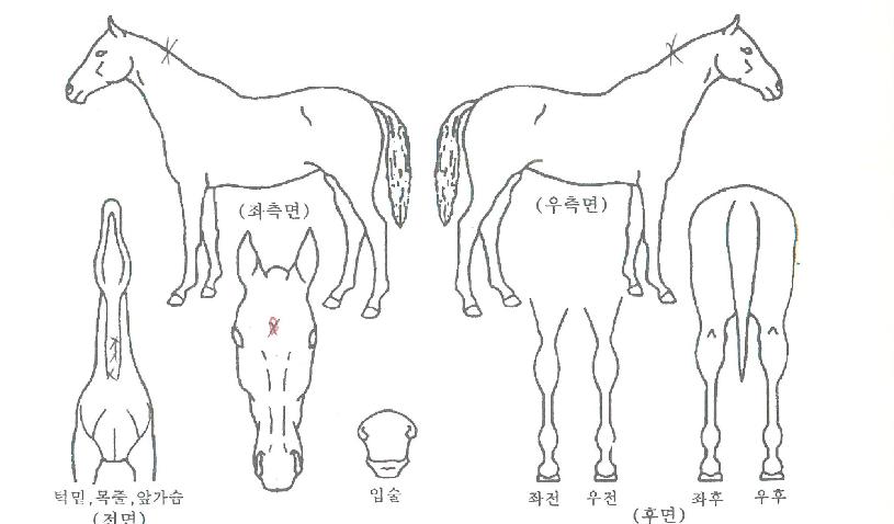 �ʵ������� ����,���,�޸�,�λ�,�ٸ��� Ư¡����