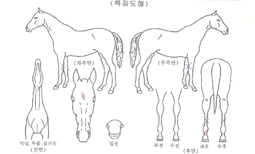 ���и��������� ����,���,�޸�,�λ�,�ٸ��� Ư¡����