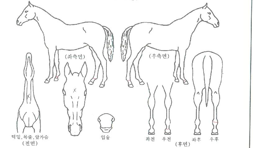 �������� ����,���,�޸�,�λ�,�ٸ��� Ư¡����