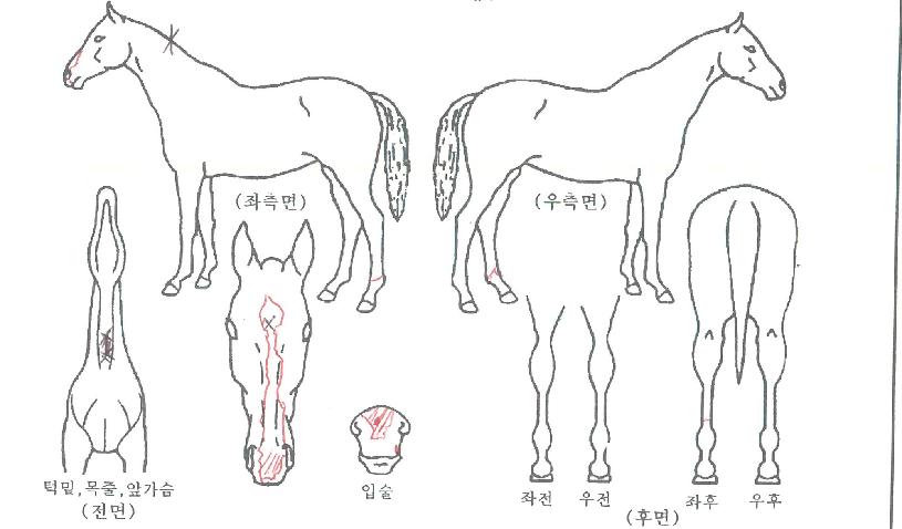 ���Ͼ����� ����,���,�޸�,�λ�,�ٸ��� Ư¡����