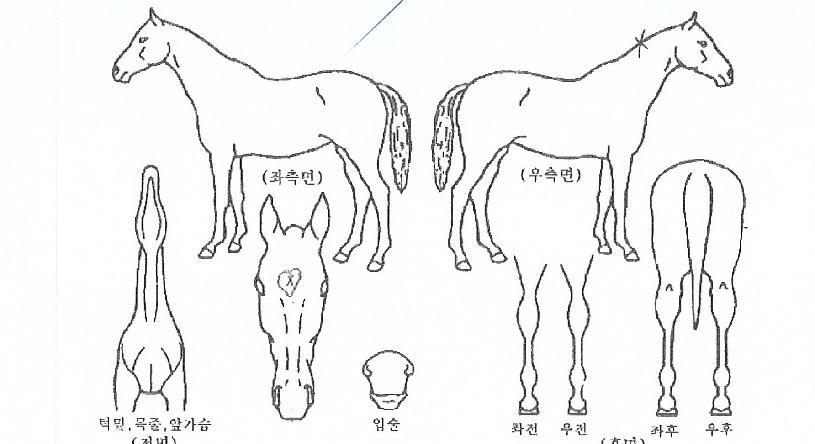 ÅÍÇÁ±×·¹ÀÌÆ®ÀÇ Ãø¸é,¿ì¸é,µÞ¸é,µÎ»ó,´Ù¸®ÀÇ Æ¯Â¡µµÇØ