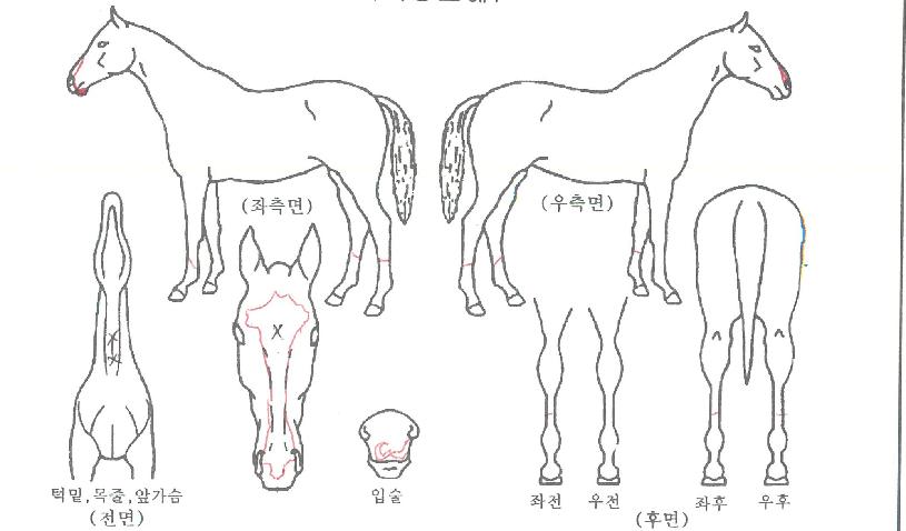 ������ǰ�� ����,���,�޸�,�λ�,�ٸ��� Ư¡����