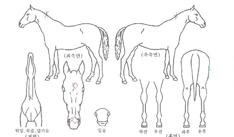 ����ҳ��� ����,���,�޸�,�λ�,�ٸ��� Ư¡����