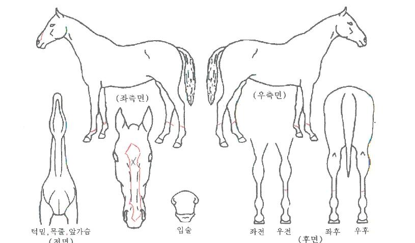 ����Ʈ������ ����,���,�޸�,�λ�,�ٸ��� Ư¡����