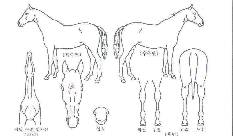 �λ꿡������ ����,���,�޸�,�λ�,�ٸ��� Ư¡����